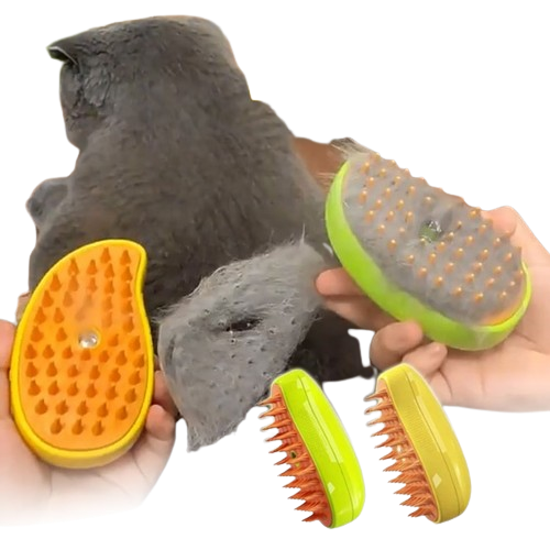 Cat using a massage and steam spray pet brush